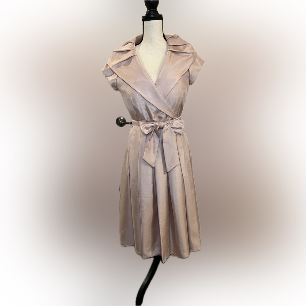 Ballet Pink Elegant Dress Regal
